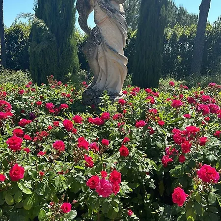 Villa Residenza Rinascimento *